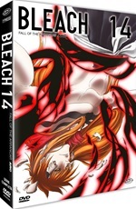 Bleach (First Press)